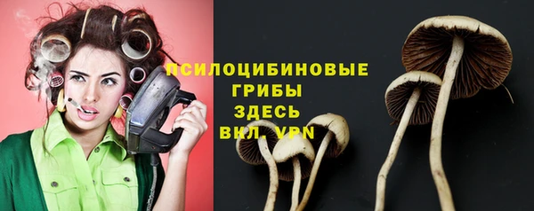 амф Балахна